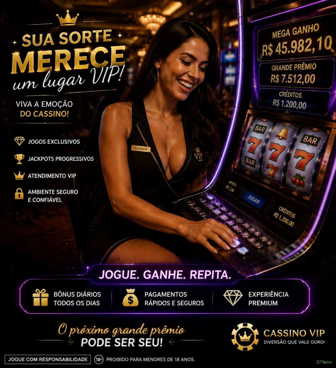 Suporte VIP 273win - atendimento prioritário